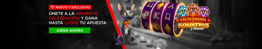 2dffe434-1457-4583-a242-946cb0c2cb0f_web 2dffe434 1457 4583 a242 946cb0c2cb0f web