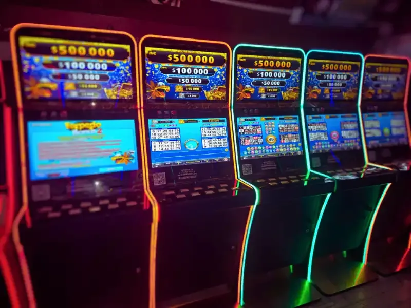 BIngos Faraon 8 1 web